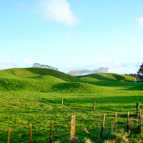 Buchanan Doty MicroFarms
