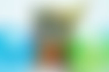 Life Coaching is not Therapy Counselling Consultancy or Mentoring So What Is Life Coaching UK