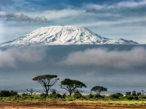 Sommet enneigé du Kilimandjaro dominant les nuages au-dessus de la savane.