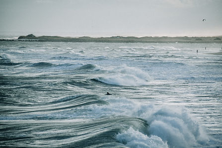 Image by Avery Cocozziello