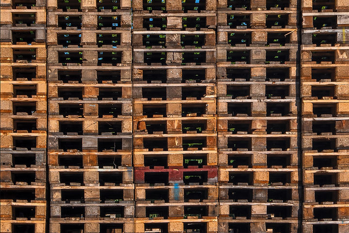 Image by Lucas van Oort