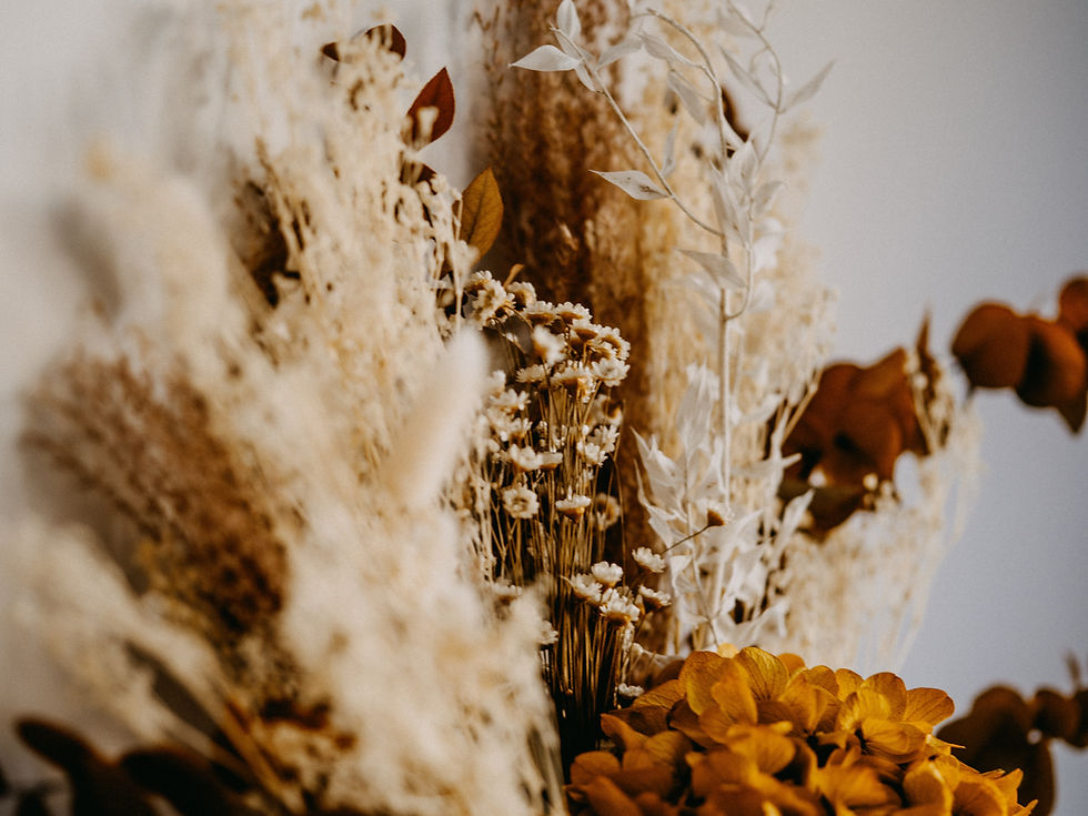 Image by Annie Spratt