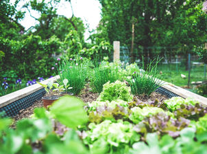 Jardin nourricier pour un potager autonome.