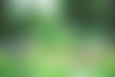 Jardins communaux de Tallende : 2 emplacements disponibles