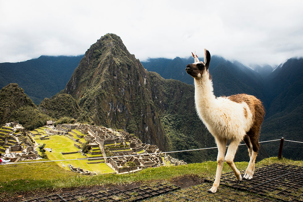 The Amazing Machu Pichu in Cusco, Peru