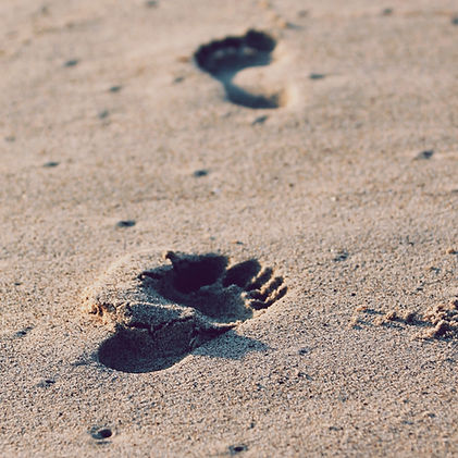 Image by Christopher Sardegna