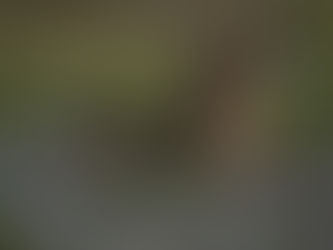 Subiectul #1: Lorem Ipsum