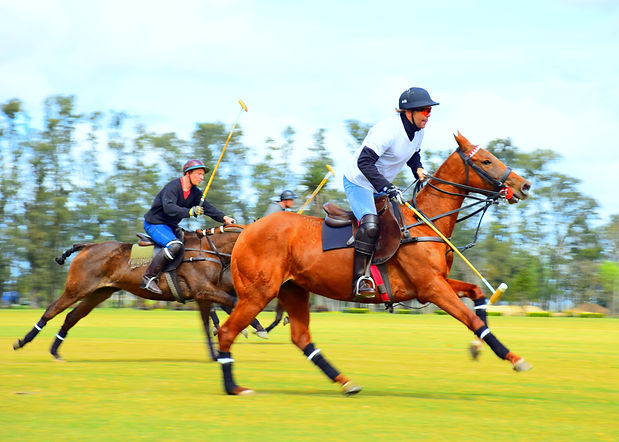 polo match
