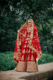 Image by Dollar Gill