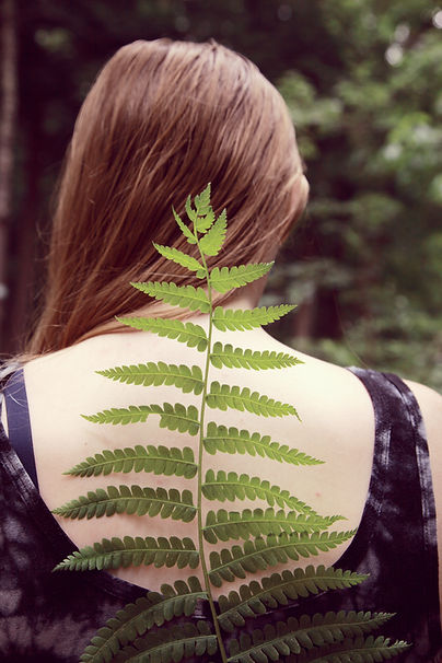 Image by Tsunami Green