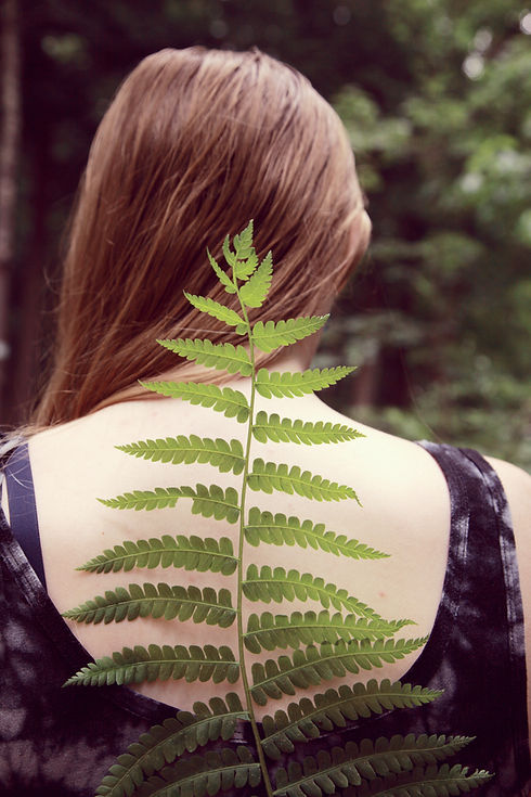 Image by Tsunami Green