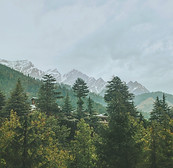 Image by shruti dadwal