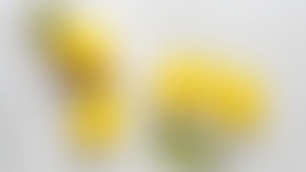 Die Ehrlichkeit als höchstes Gut im Alkoholismus