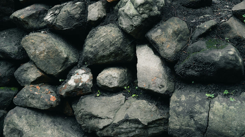 Image by Othman Alghanmi