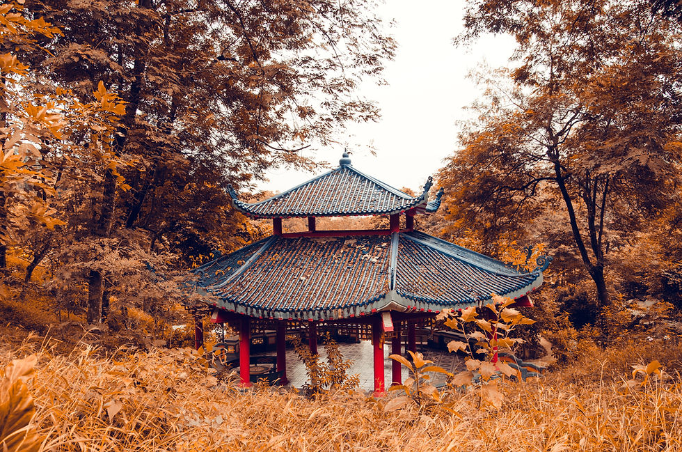 서울 서대문 오피 완벽 가이드