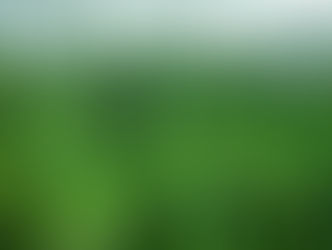 urban forest