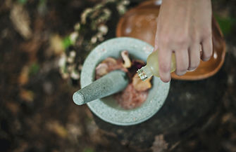 Image by Katherine Hanlon