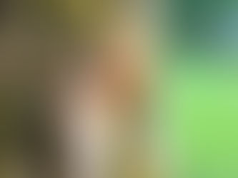 Weird News - This Summer’s Delicacy: Cicadas