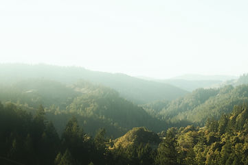 Image by SAIRA