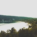 Image by Taylor Wilcox