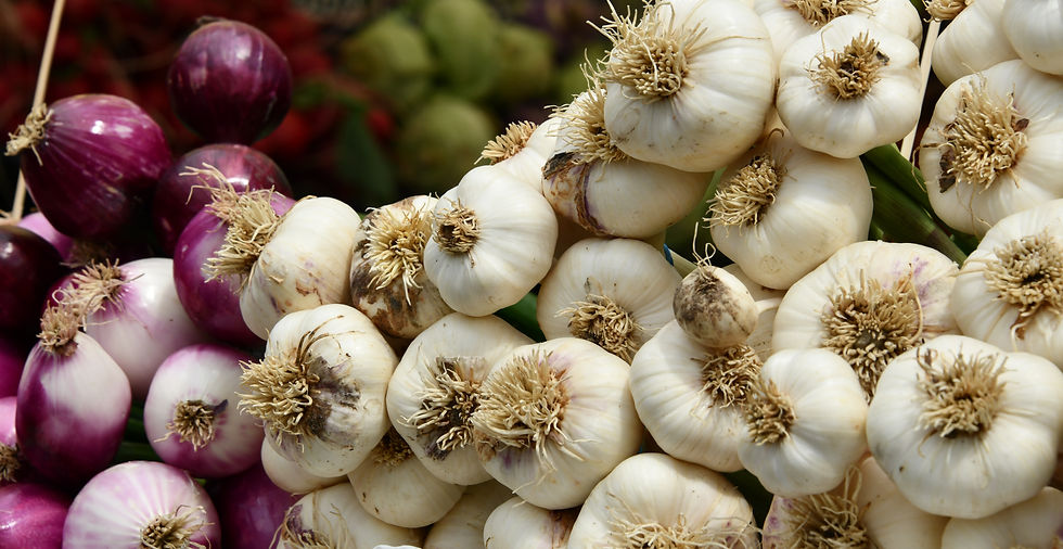 Grindrod Garlic Festival