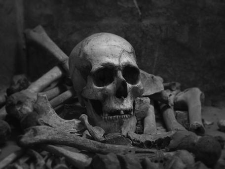 “Can They Live?”