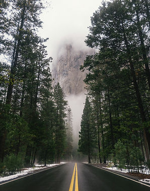 Image by Connor McSheffrey