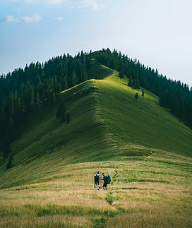 Image by Serhii Danevych