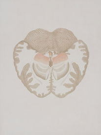 Image by Europeana