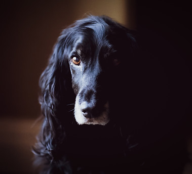 Image by Mike Perry