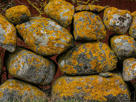 Divorce Coaches Can Lower Your Legal Costs. Here are 3 ways.