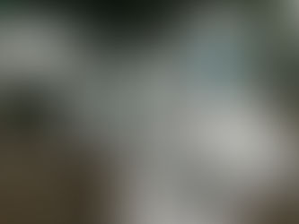 News Crisps - New Coronavirus Strain Detected