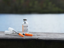 Decoding Diabetes: Understanding the Basics of This Chronic Condition