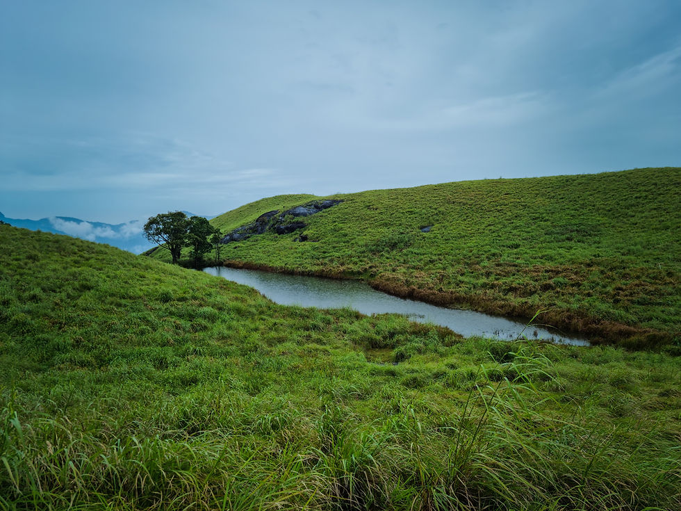 chembra trekk package from three hills resort wayanad