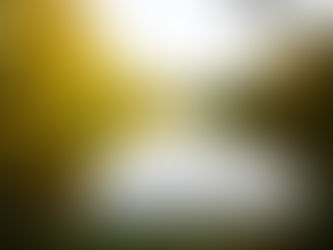 Ezra 7:11-28 (November 10th, 2025)