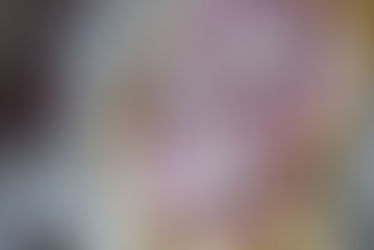 Continuous Learning: Expanding Horizons Through Harvard Real Estate Management