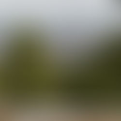 Colorado Fire Mitigation