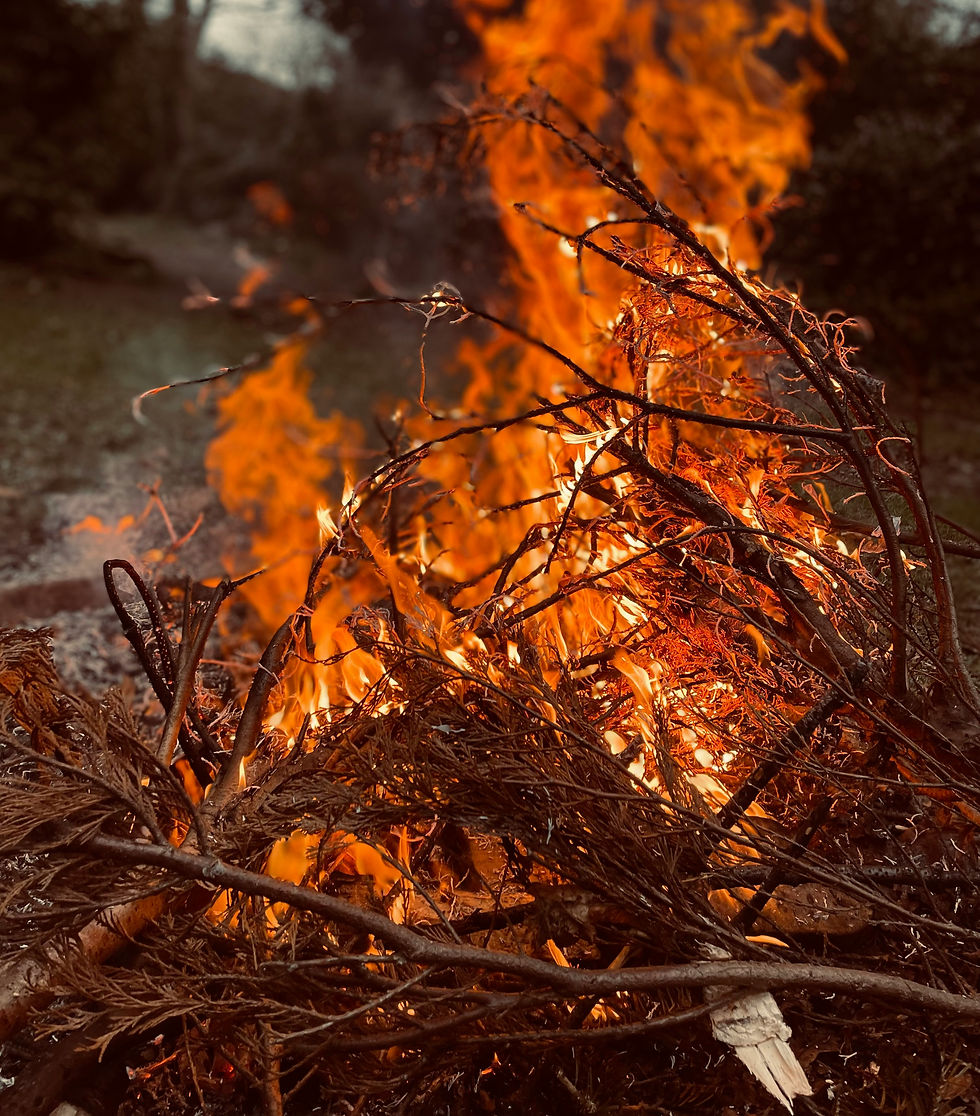 Talk to your religious parents not a burning bush