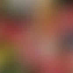 Münih Noel Pazarları Rehberi