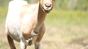 Market Report 05/27/2023