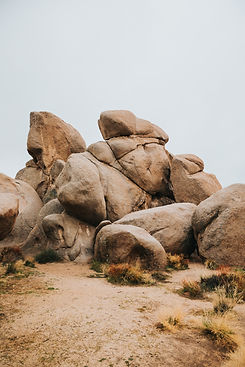 Image by Nathan Dumlao