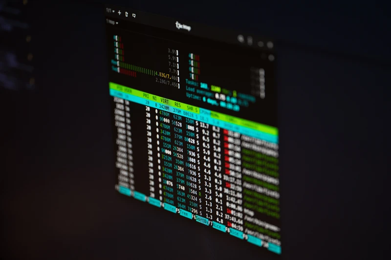 linux terminal output