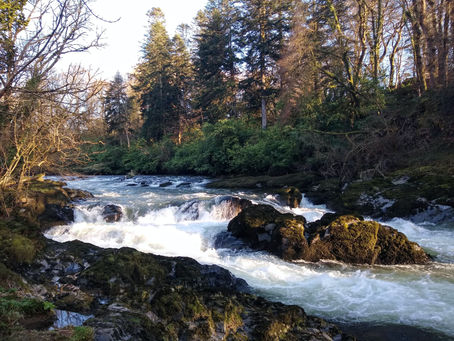 The Waters that Hindered Your Prayers will Become a Testimony!