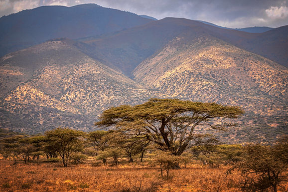 2 Days Tanzania Mid Range lodge Safari