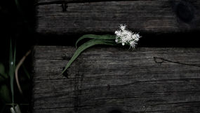 Resilience: Managing in the “New Normal”