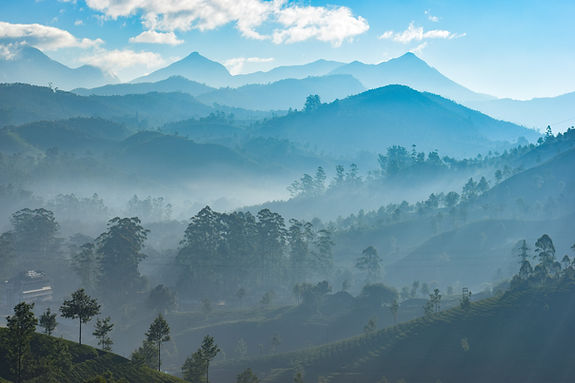 Image by Srinivasan Venkataraman