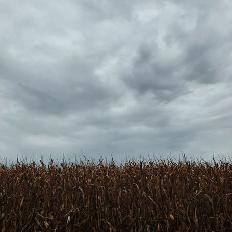 8:28 PM CST (Corn Standard Time)