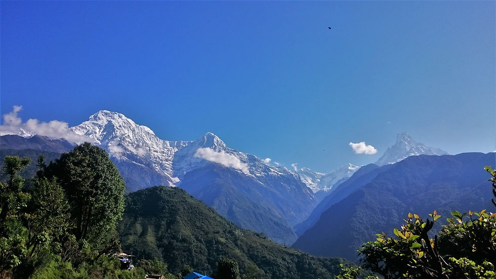 Image by Meghsha Karki
