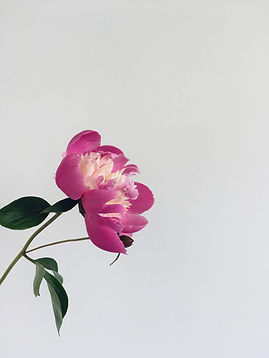 Image by Scurtu Corina
