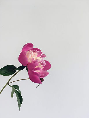 Image by Scurtu Corina